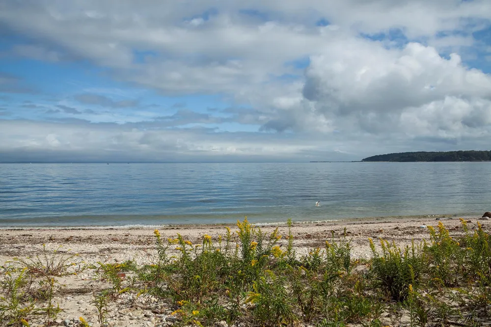 145 Centre Island Road Centre Island, NY 11771