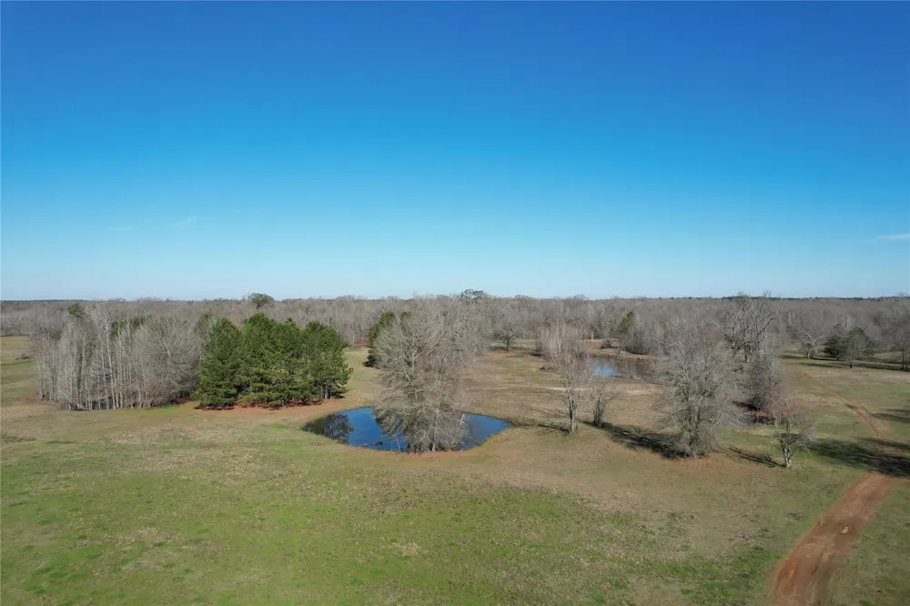 Fm 2076 / Cr 2065 Crockett, TX 75835