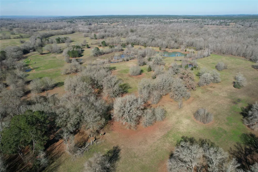Fm 2076 / Cr 2065 Crockett, TX 75835