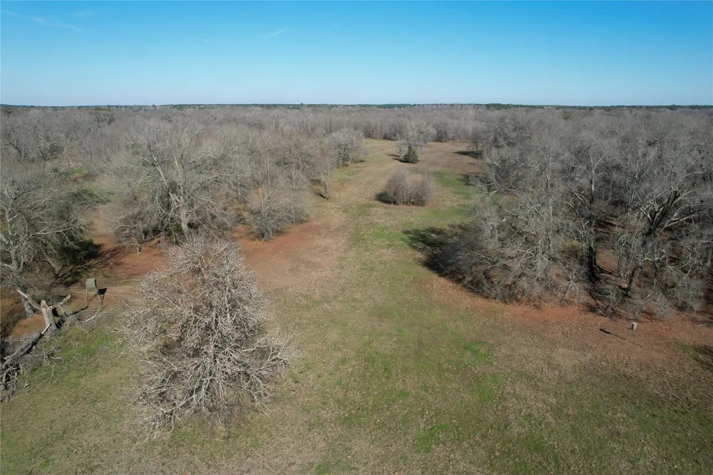Fm 2076 / Cr 2065 Crockett, TX 75835