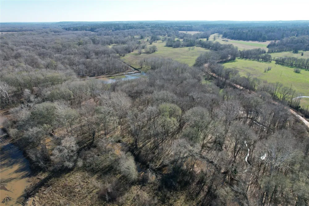 Fm 2076 / Cr 2065 Crockett, TX 75835