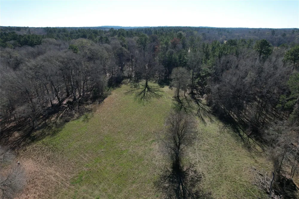 Fm 2076 / Cr 2065 Crockett, TX 75835