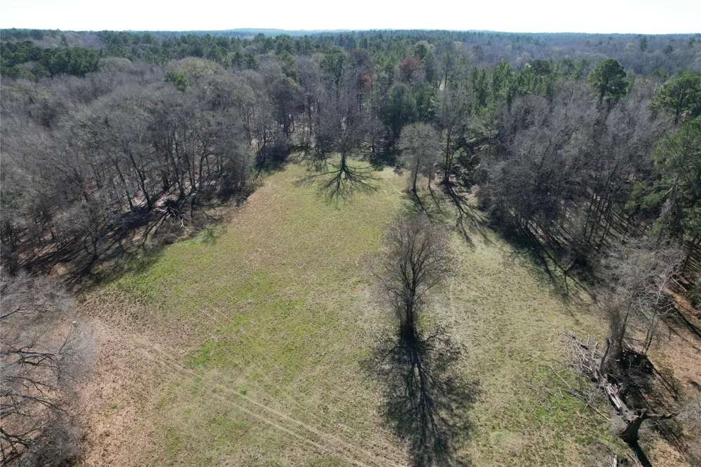 Fm 2076 / Cr 2065 Crockett, TX 75835