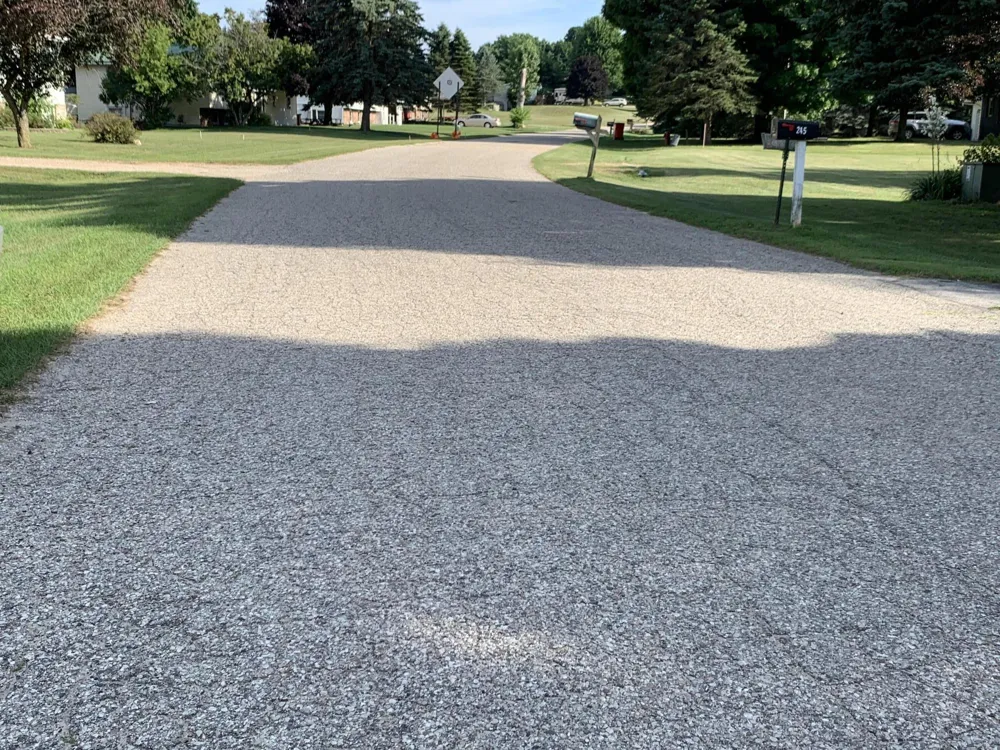 Lizzie Avenue Hesperia, MI 49421