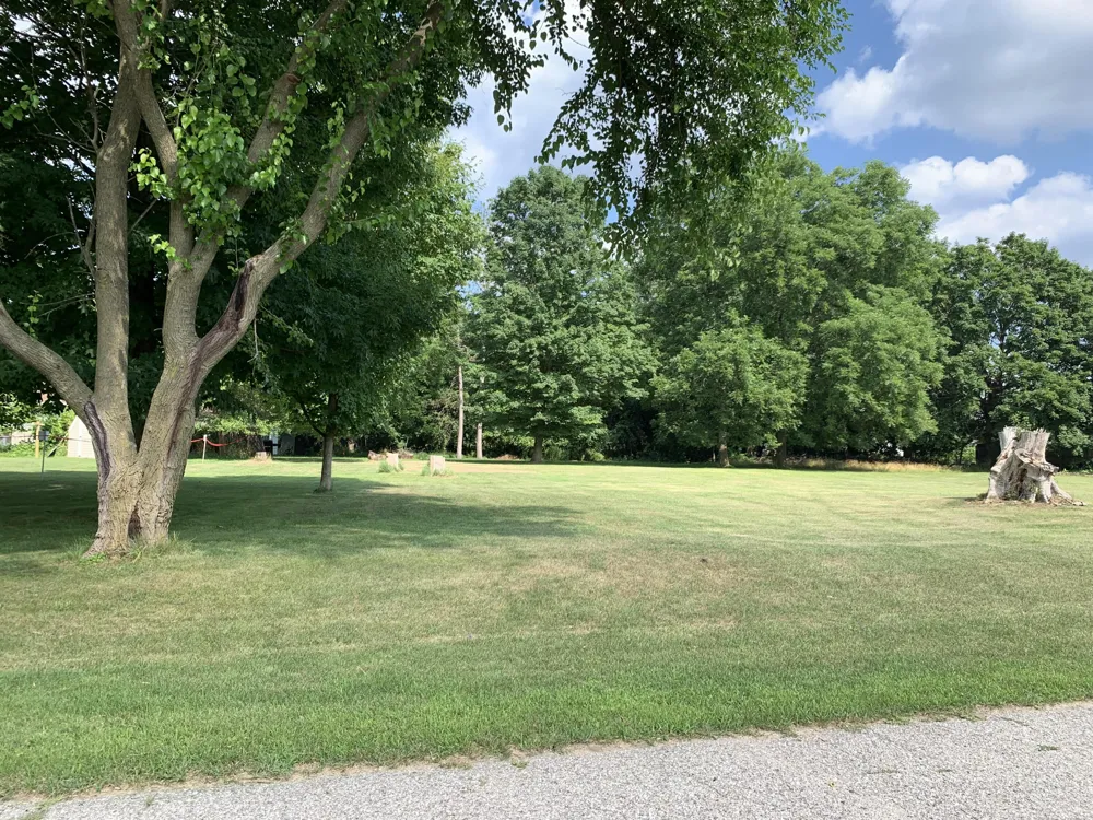 Lizzie Avenue Hesperia, MI 49421