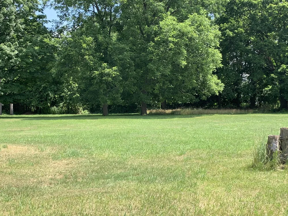 Lizzie Avenue Hesperia, MI 49421