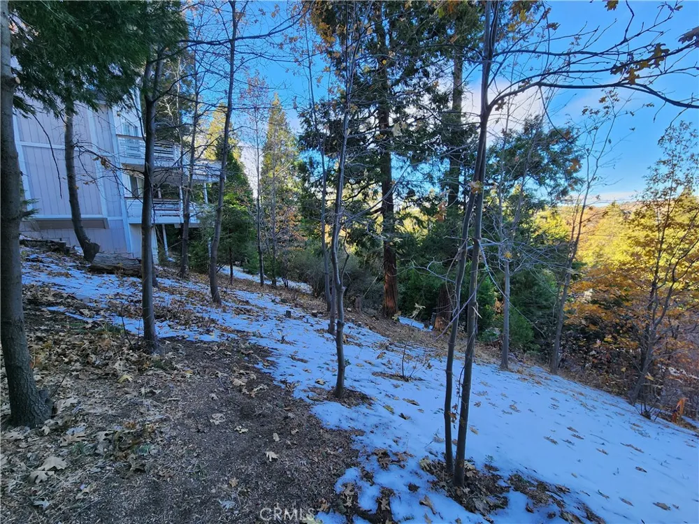 104 Fremont Road Lake Arrowhead, CA 92352