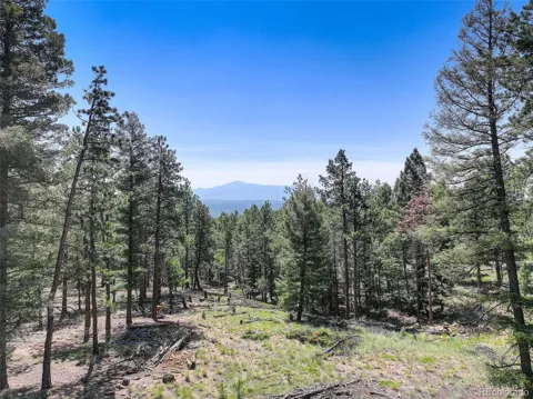 1002 Indian Creek Road
