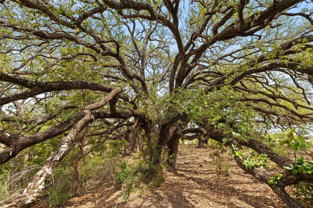 County Road 207 Burnet, TX 78611