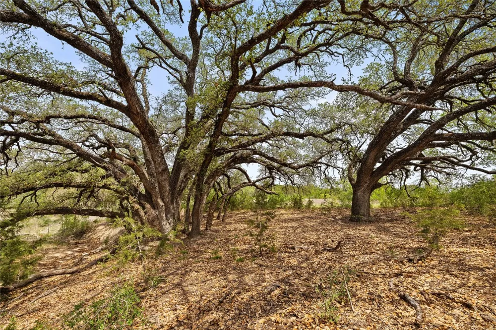 County Road 207 Burnet, TX 78611