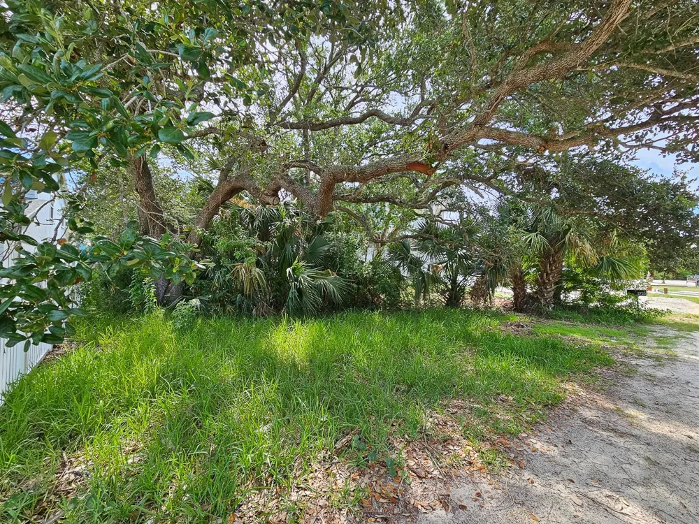2721 S JOHN BULL STREET Flagler Beach, FL 32136