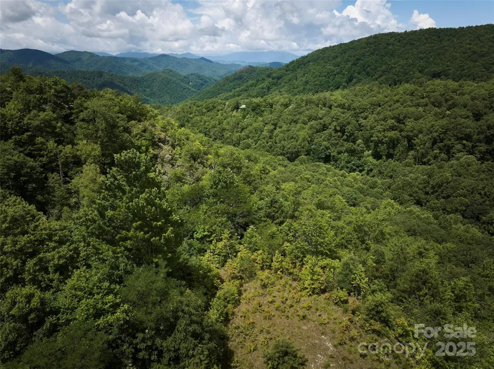 Lot 24 Piedmont Way #24 Bryson City, NC 28713