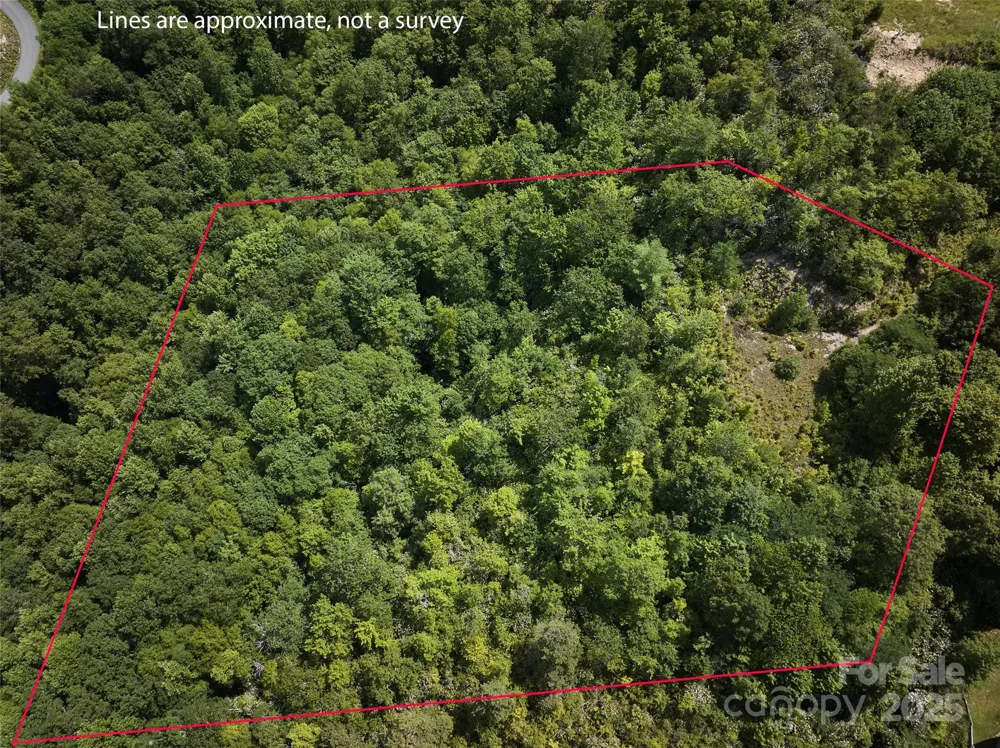 Lot 24 Piedmont Way #24 Bryson City, NC 28713