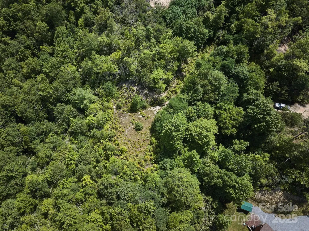 Lot 24 Piedmont Way #24 Bryson City, NC 28713