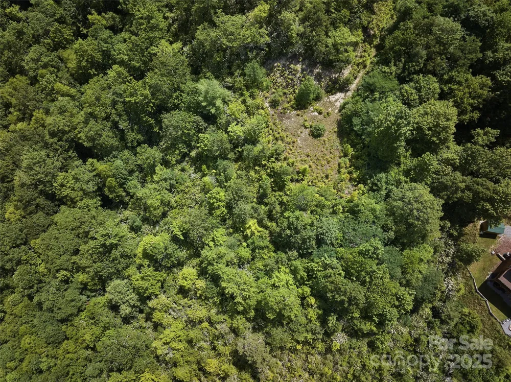 Lot 24 Piedmont Way #24 Bryson City, NC 28713