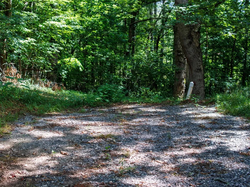 Kimberly Lane Franklin, NC 28734