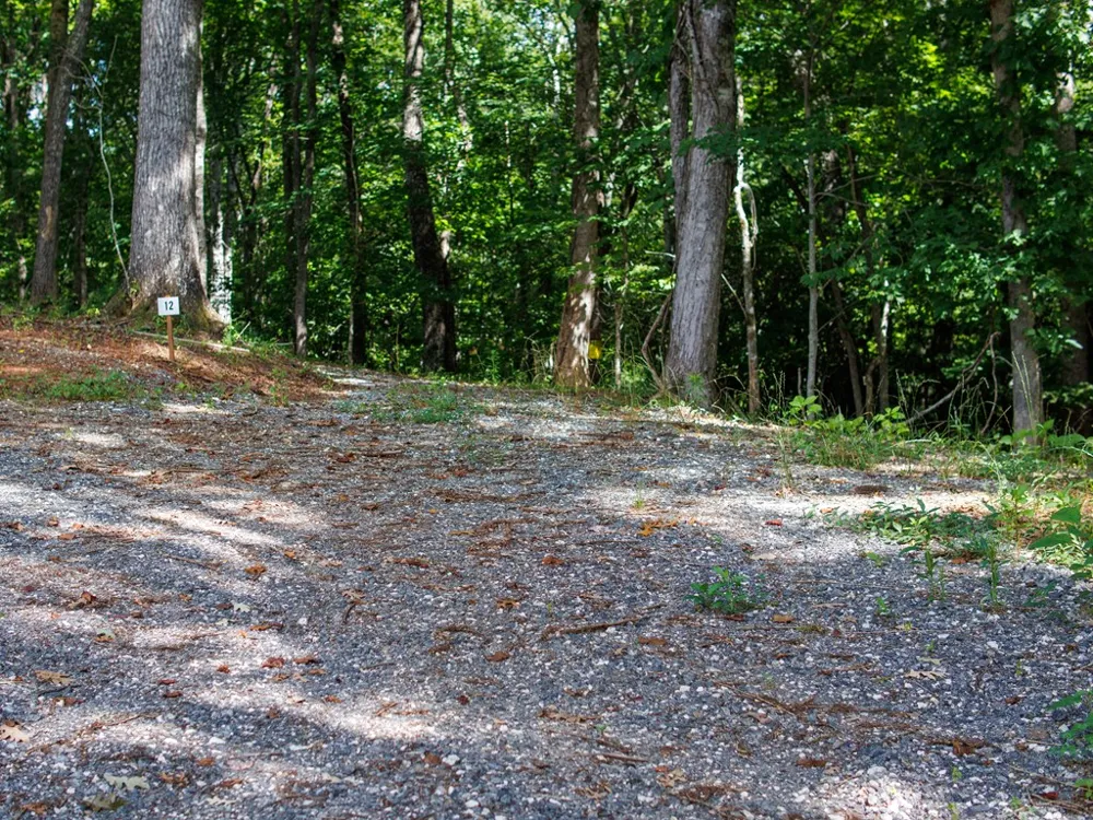 Kimberly Lane Franklin, NC 28734