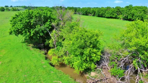 County Road 366