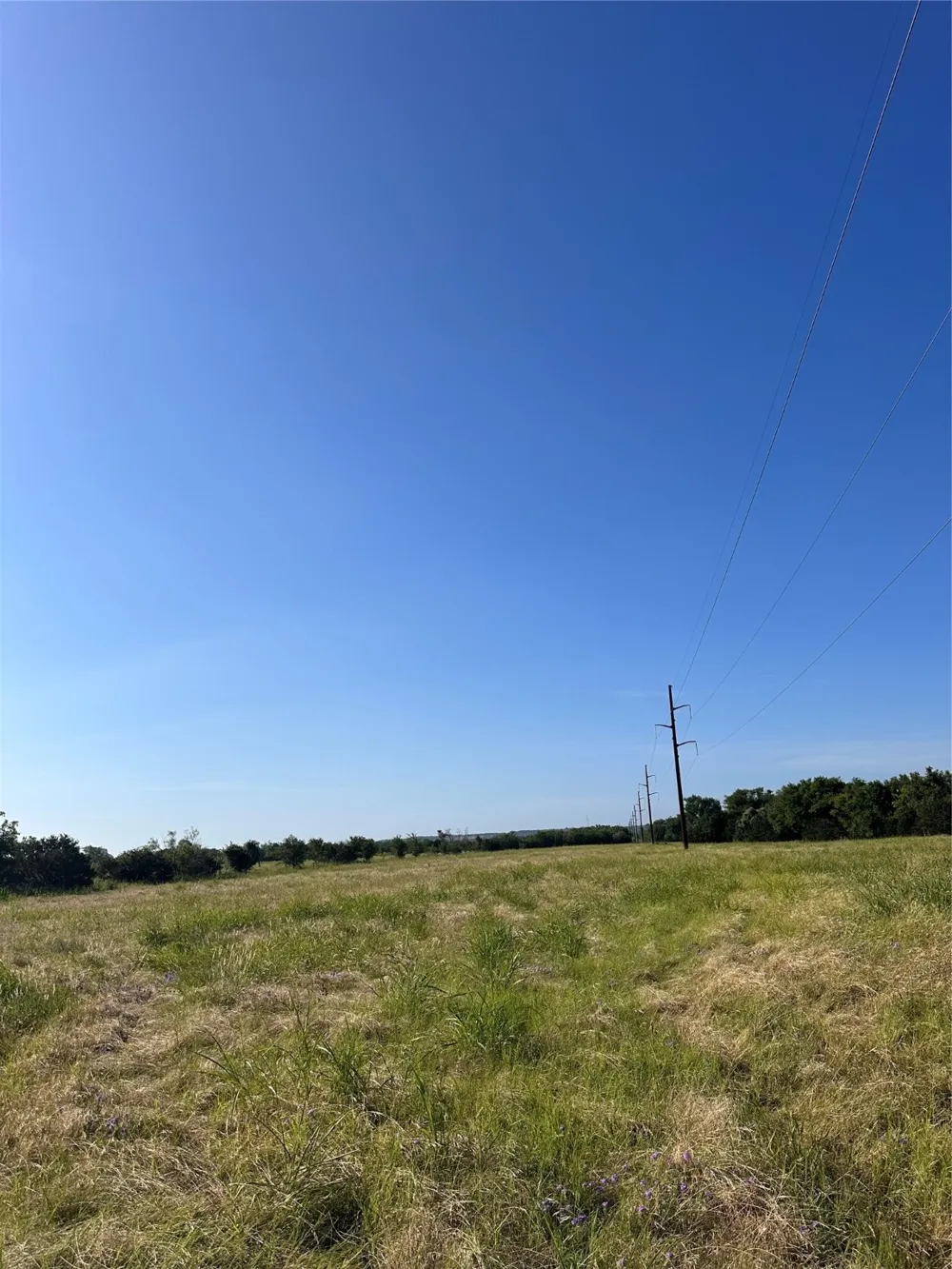 482 County Road 2655 Walnut Springs, TX 76690
