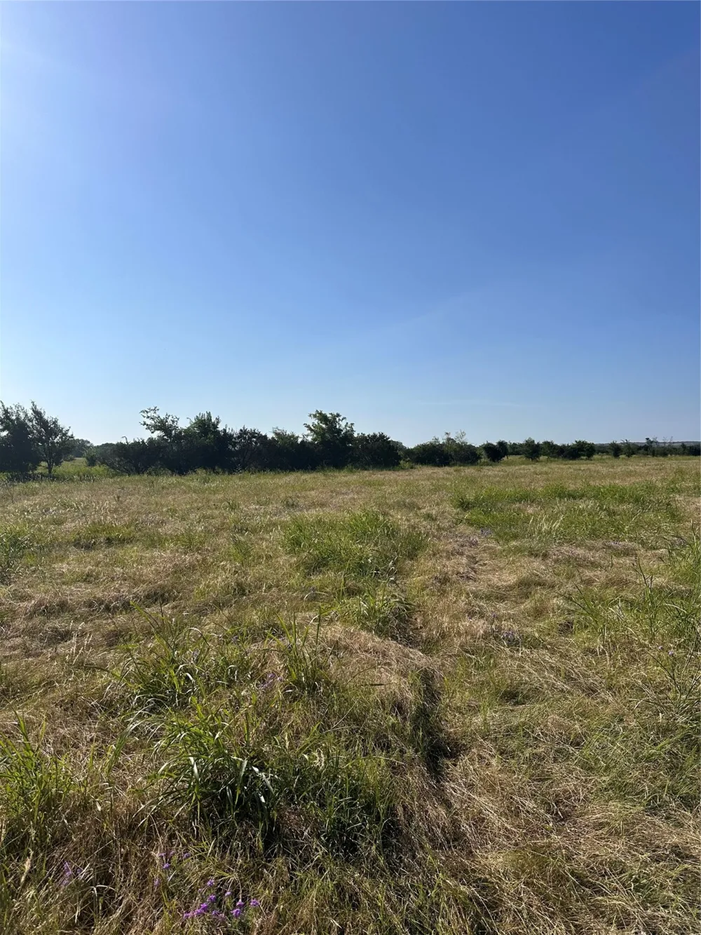 482 County Road 2655 Walnut Springs, TX 76690