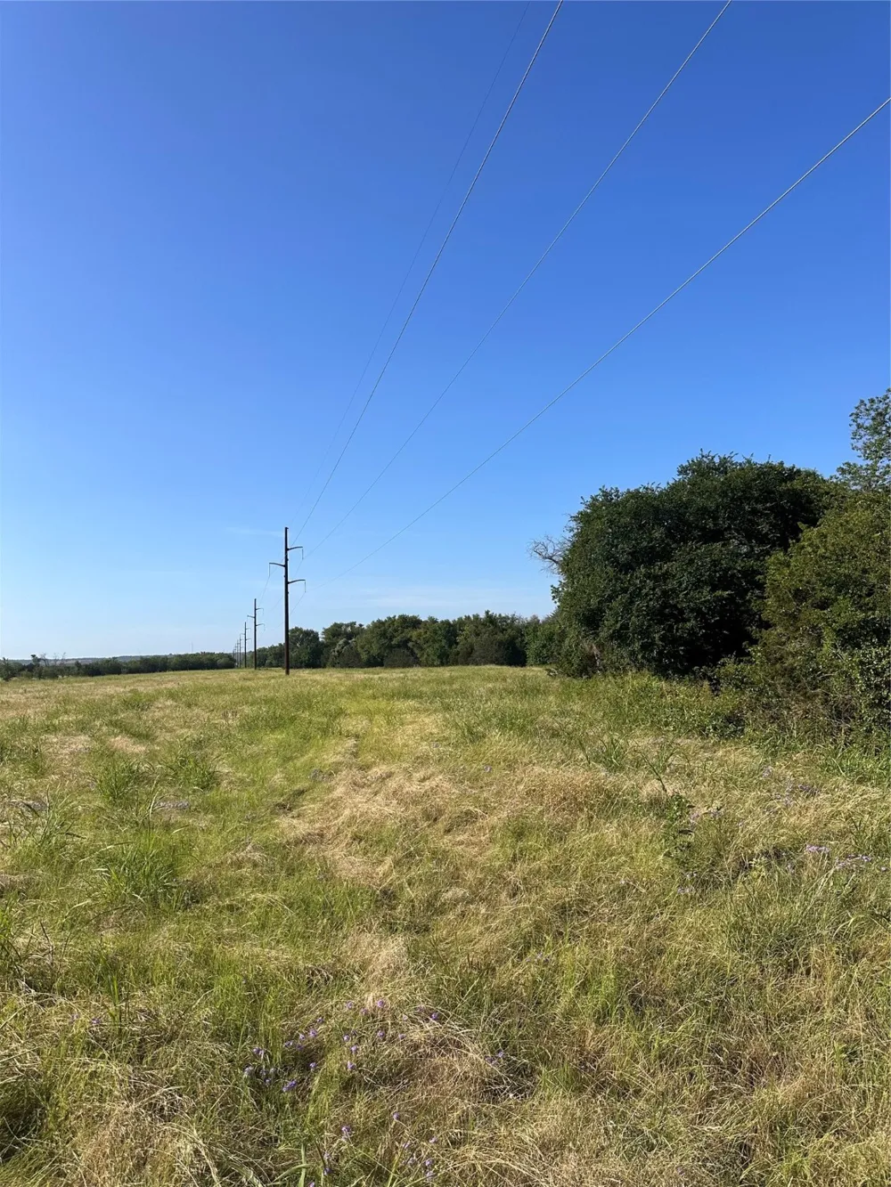 482 County Road 2655 Walnut Springs, TX 76690