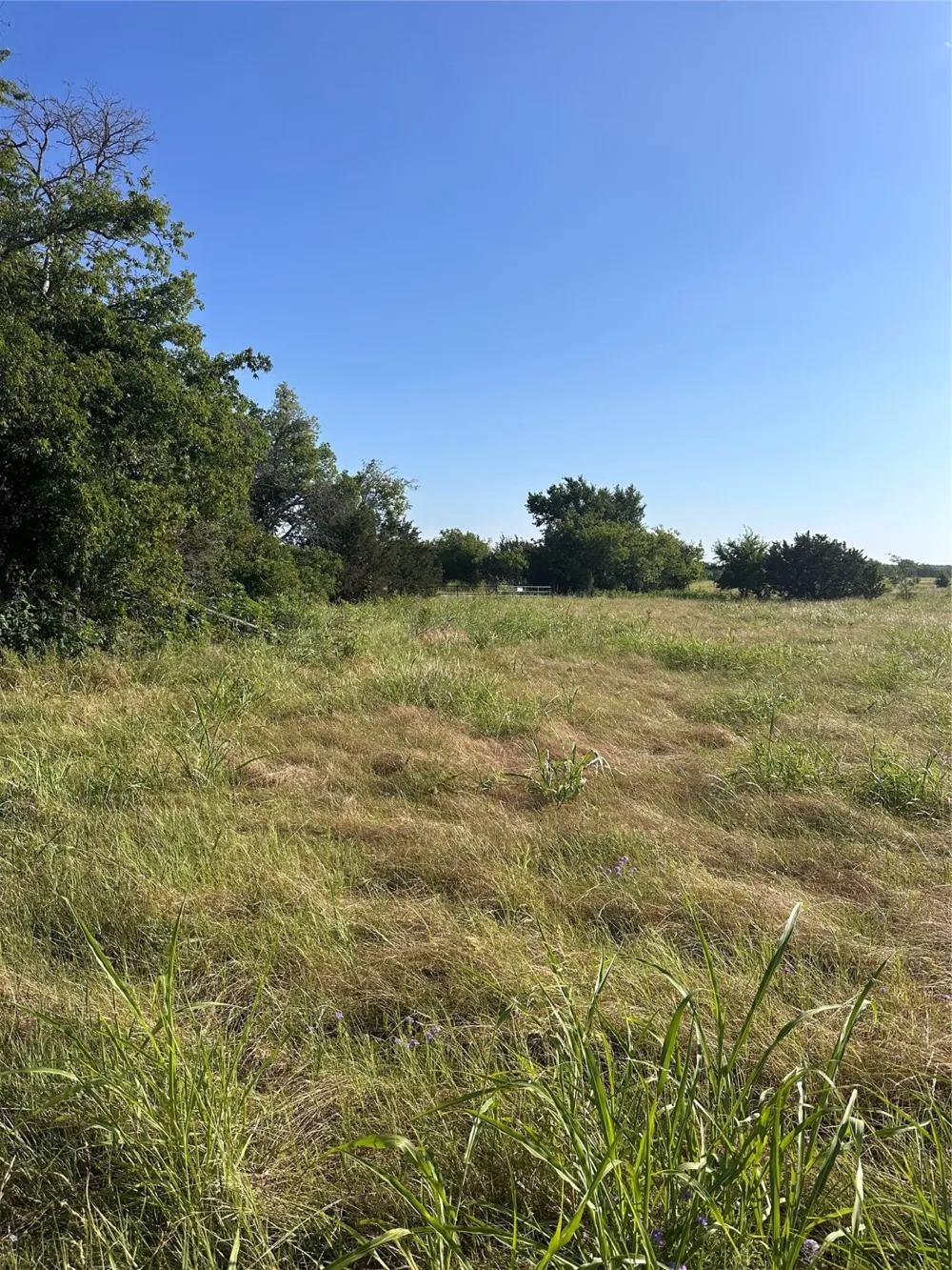 482 County Road 2655 Walnut Springs, TX 76690