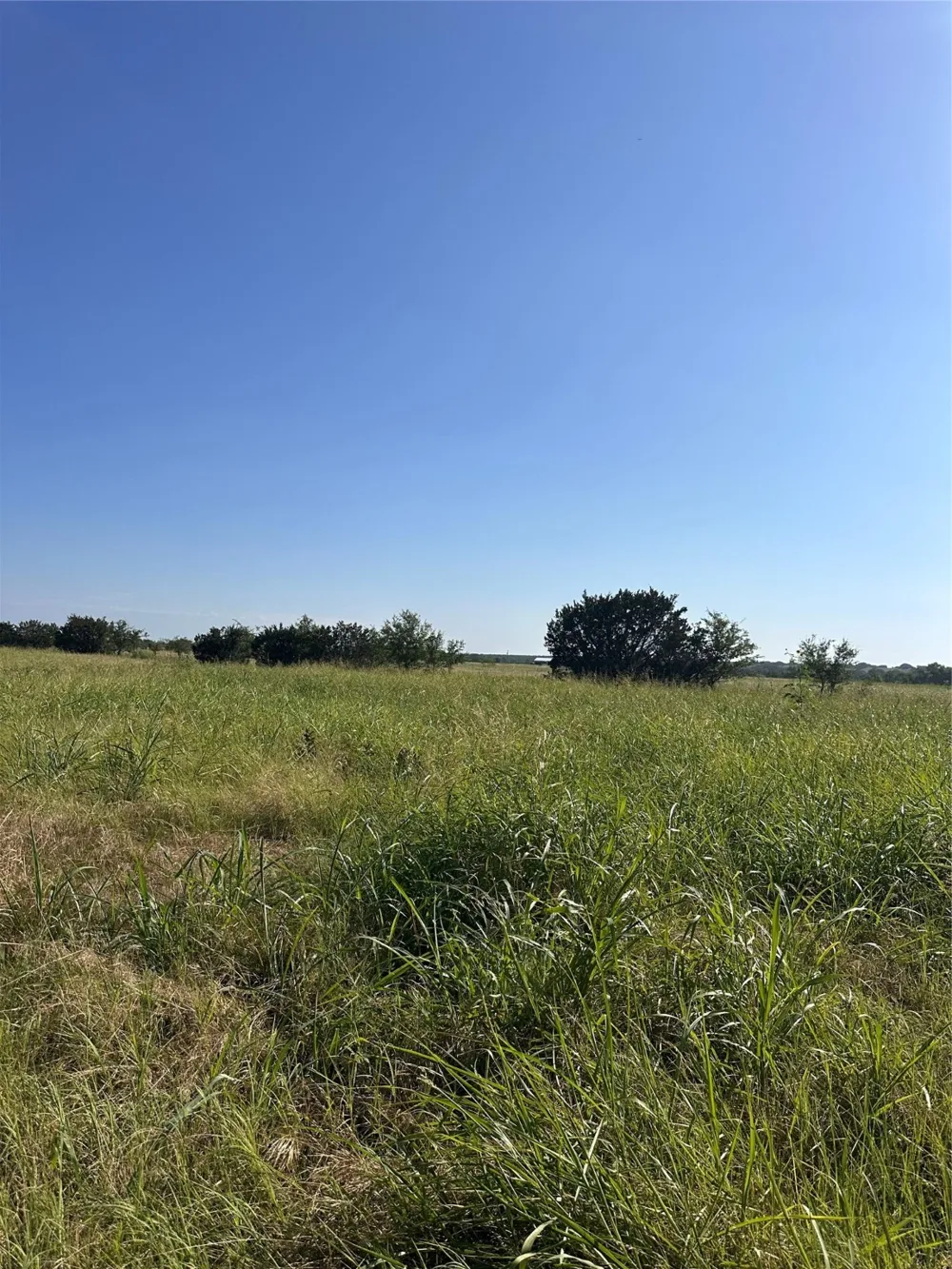 482 County Road 2655 Walnut Springs, TX 76690