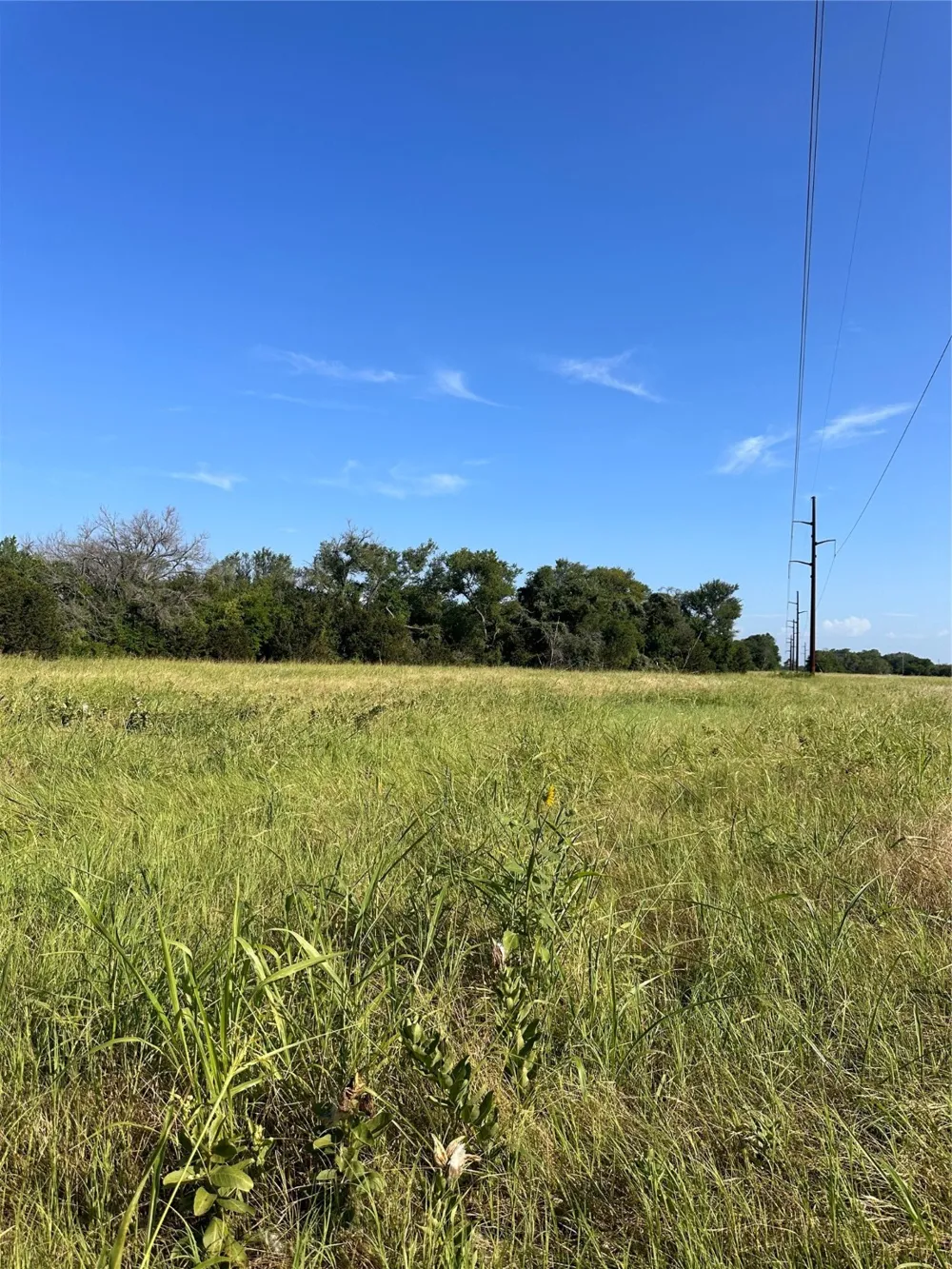 482 County Road 2655 Walnut Springs, TX 76690