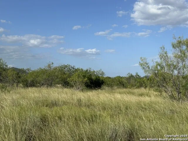 TRACT 59 Fm 470 Tarpley, TX 78883