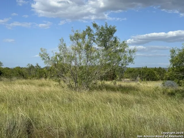 TRACT 59 Fm 470 Tarpley, TX 78883
