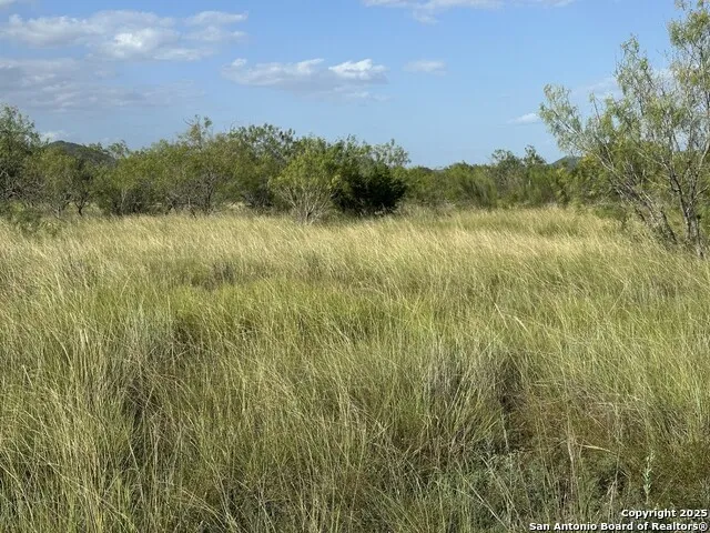 TRACT 59 Fm 470 Tarpley, TX 78883