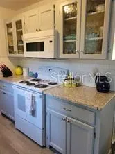 1370 GREENWAY DRIVE Mount Dora, FL 32757