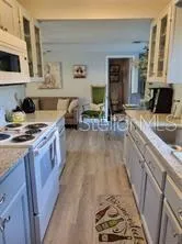 1370 GREENWAY DRIVE Mount Dora, FL 32757