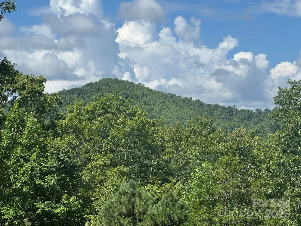 999 Ivy Lane Pisgah Forest, NC 28768
