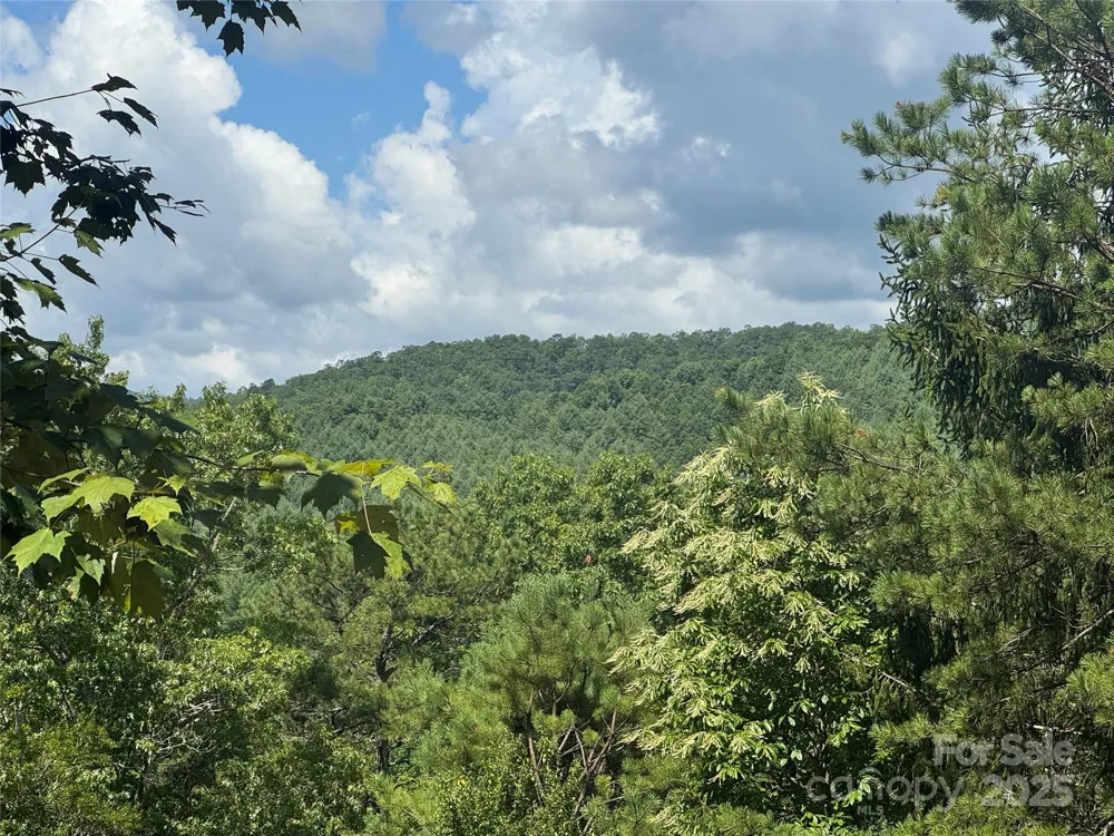 999 Ivy Lane Pisgah Forest, NC 28768