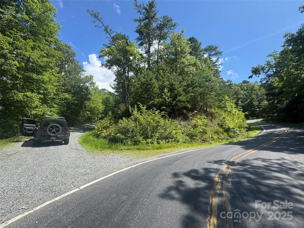 999 Ivy Lane Pisgah Forest, NC 28768