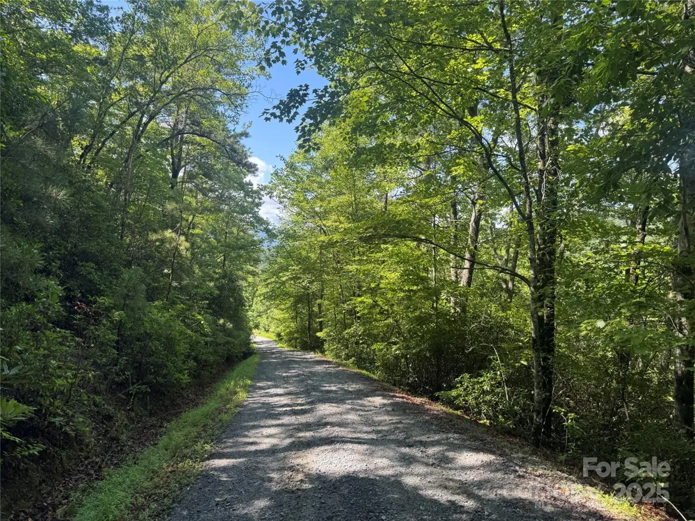 999 Ivy Lane Pisgah Forest, NC 28768