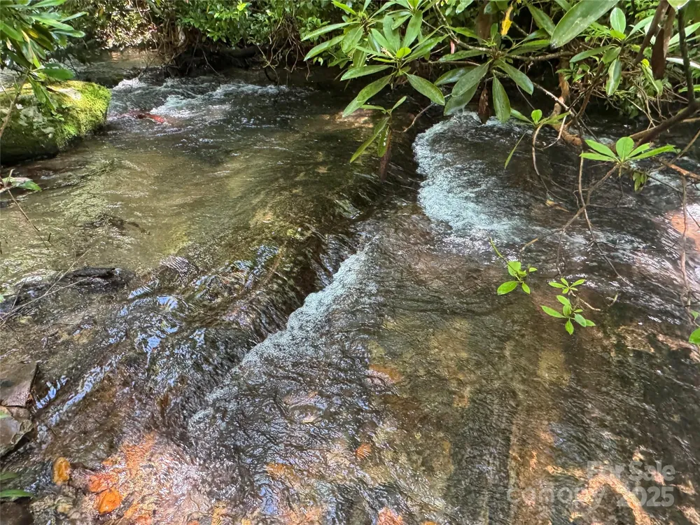 999 Ivy Lane Pisgah Forest, NC 28768