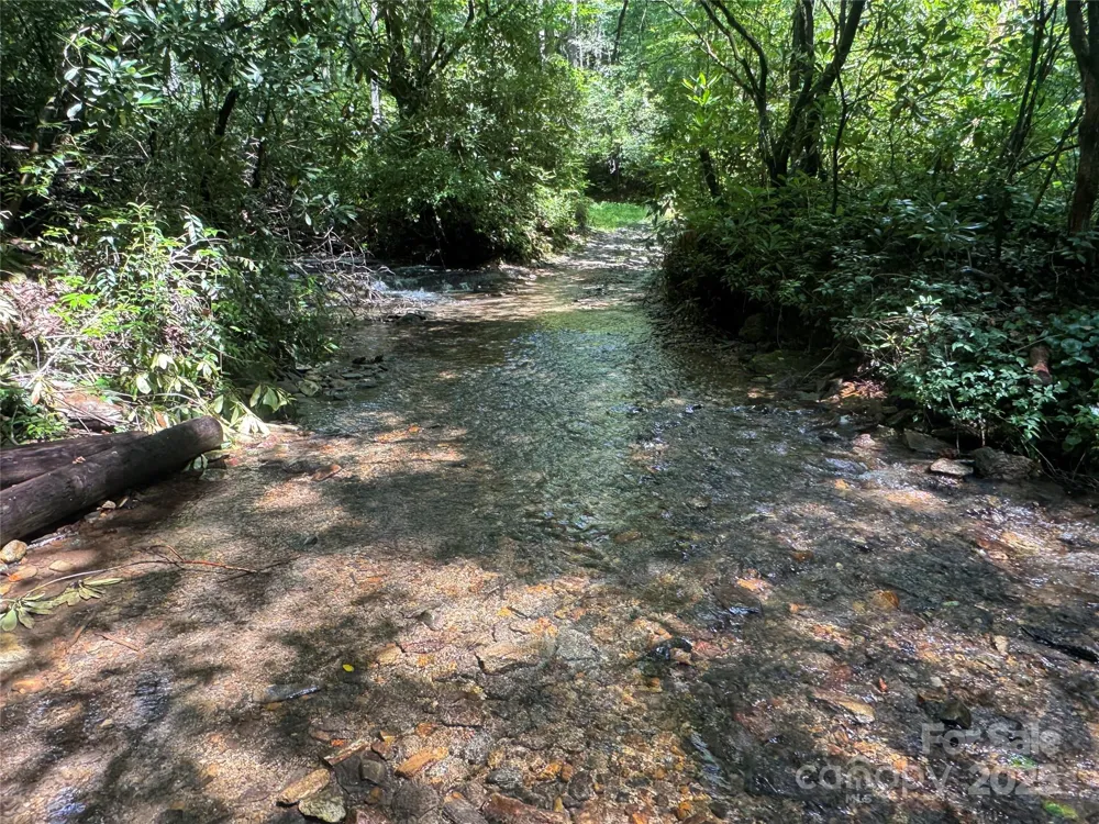 999 Ivy Lane Pisgah Forest, NC 28768
