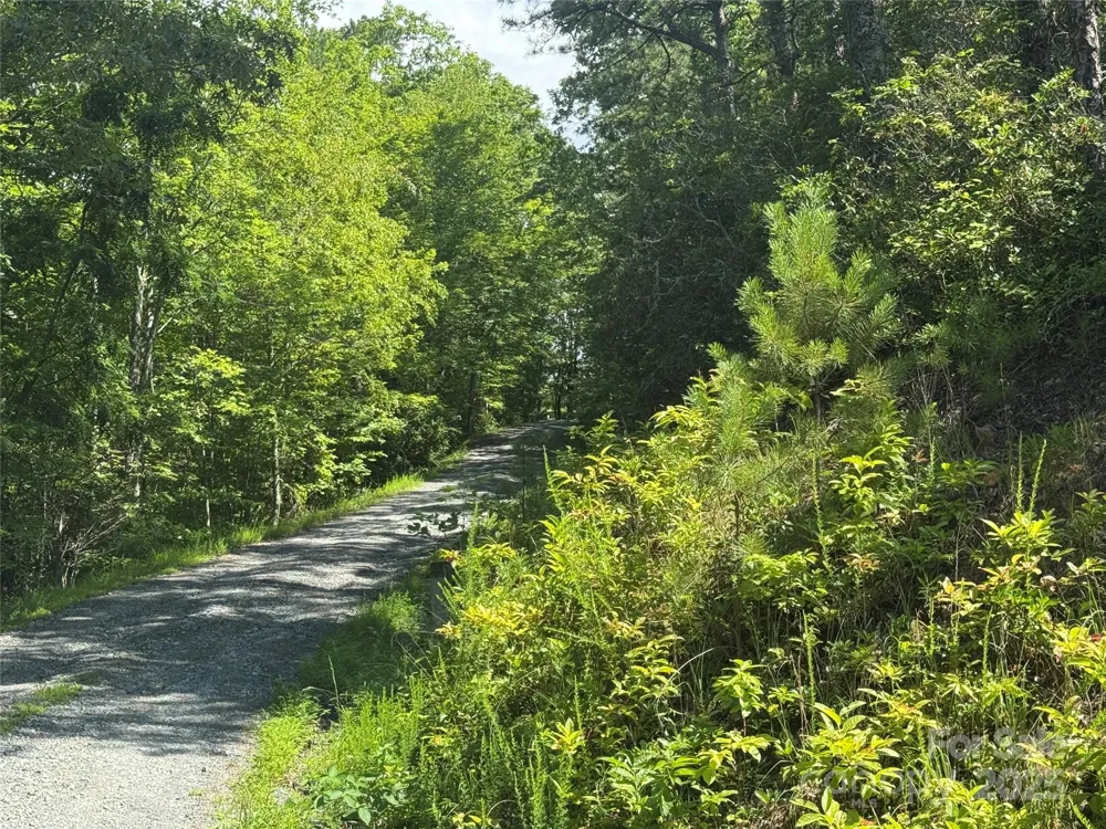 999 Ivy Lane Pisgah Forest, NC 28768