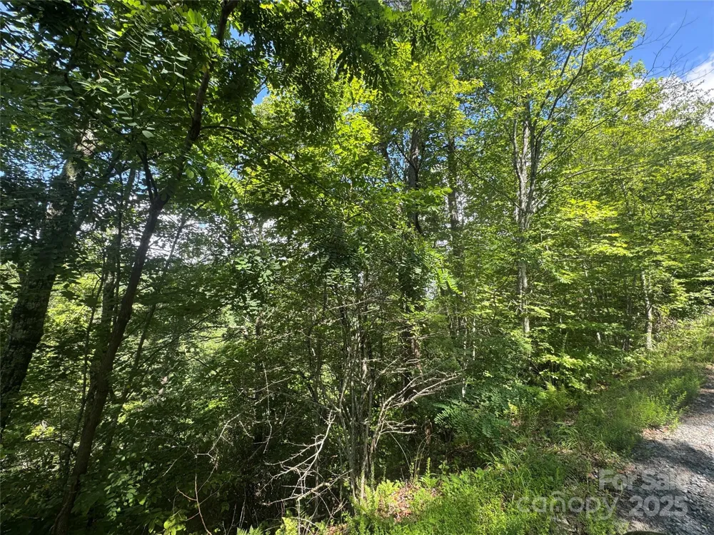 999 Ivy Lane Pisgah Forest, NC 28768