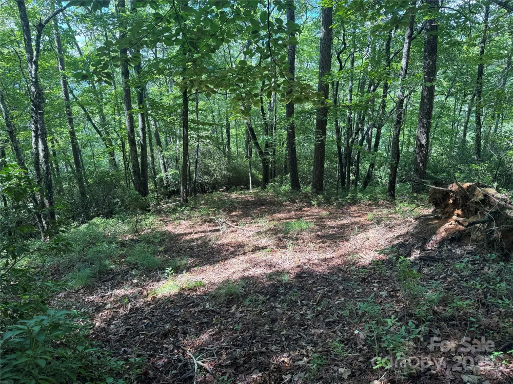 999 Ivy Lane Pisgah Forest, NC 28768