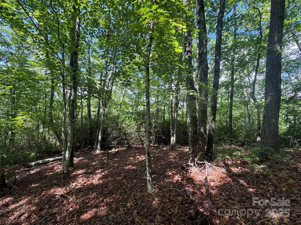 999 Ivy Lane Pisgah Forest, NC 28768