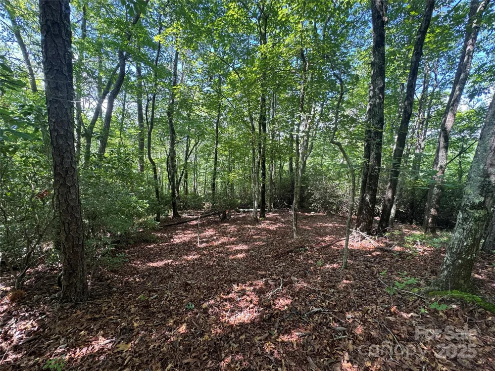999 Ivy Lane Pisgah Forest, NC 28768