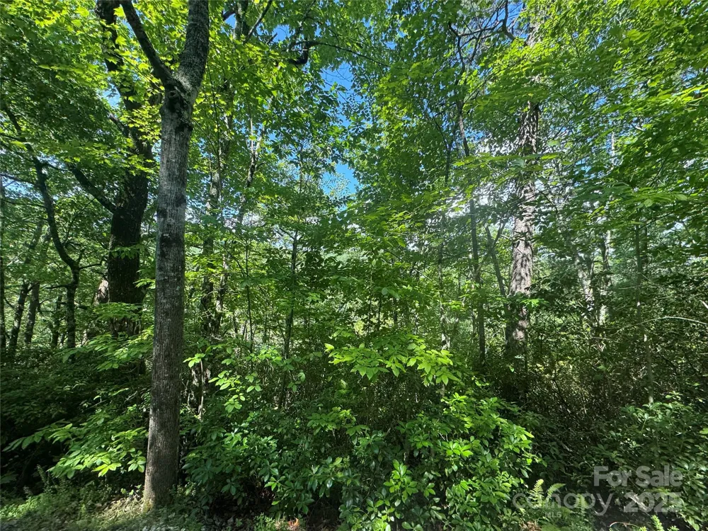 999 Ivy Lane Pisgah Forest, NC 28768