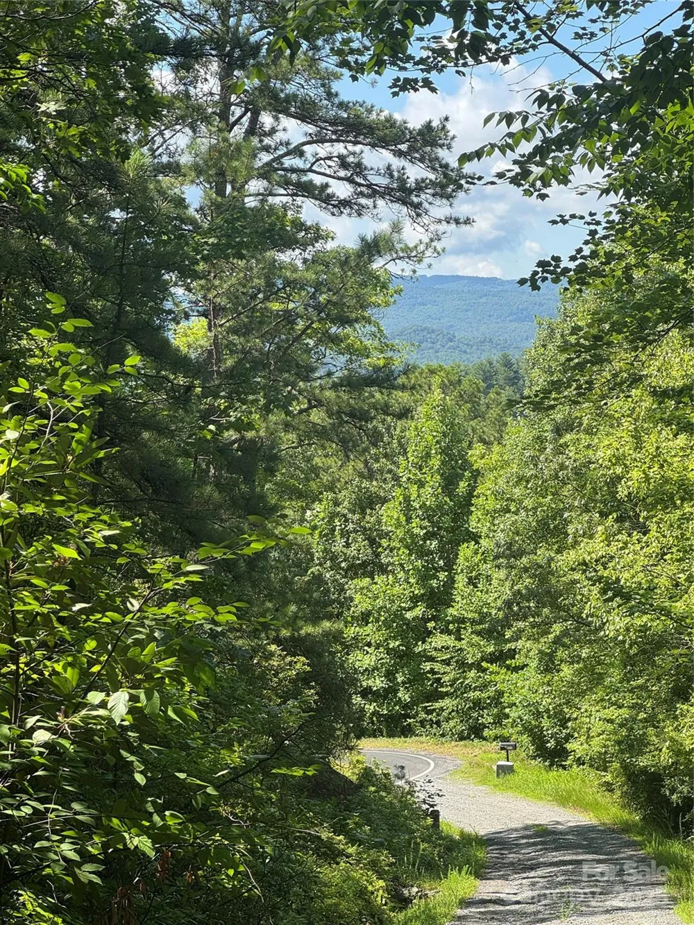 999 Ivy Lane Pisgah Forest, NC 28768