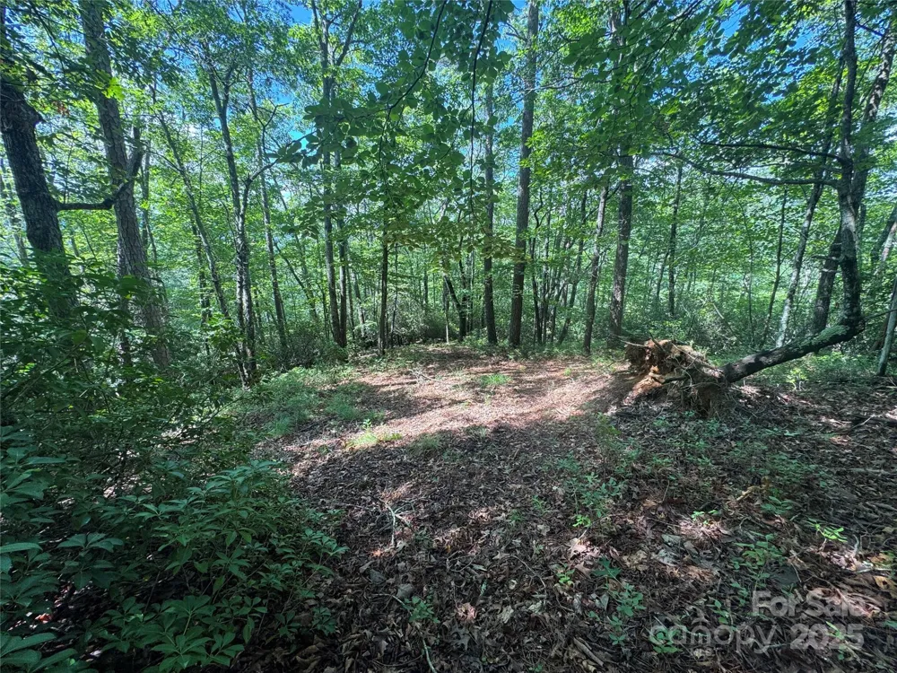 999 Ivy Lane Pisgah Forest, NC 28768