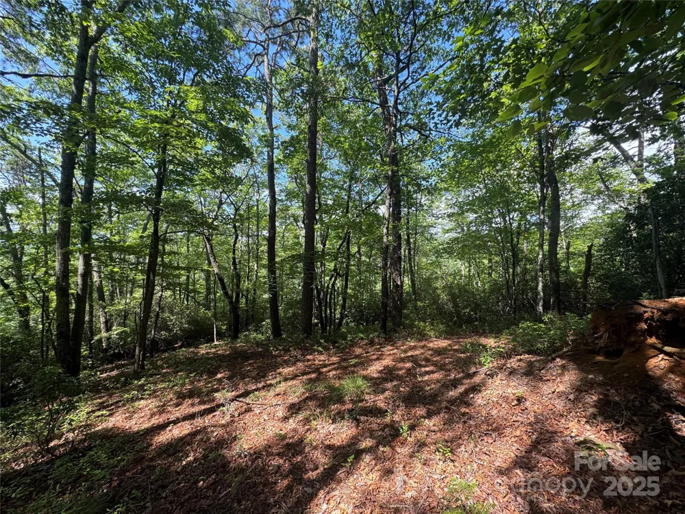 999 Ivy Lane Pisgah Forest, NC 28768