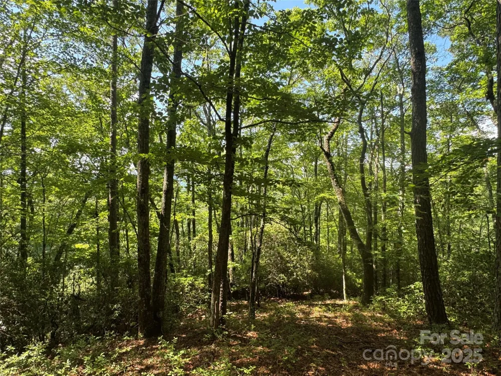 999 Ivy Lane Pisgah Forest, NC 28768