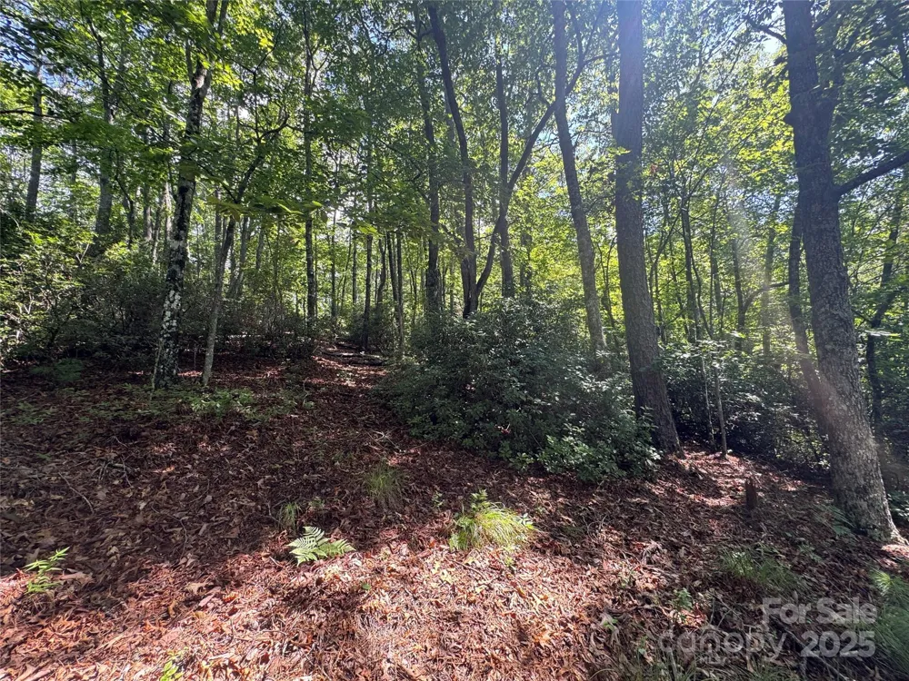 999 Ivy Lane Pisgah Forest, NC 28768